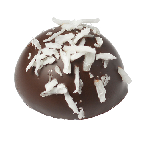 Damon Coconut