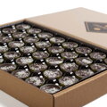 Darčekový box GoldCup kokos 40 (320g)