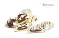 Čokoládovo - karamelové tyčinky (4x35g)